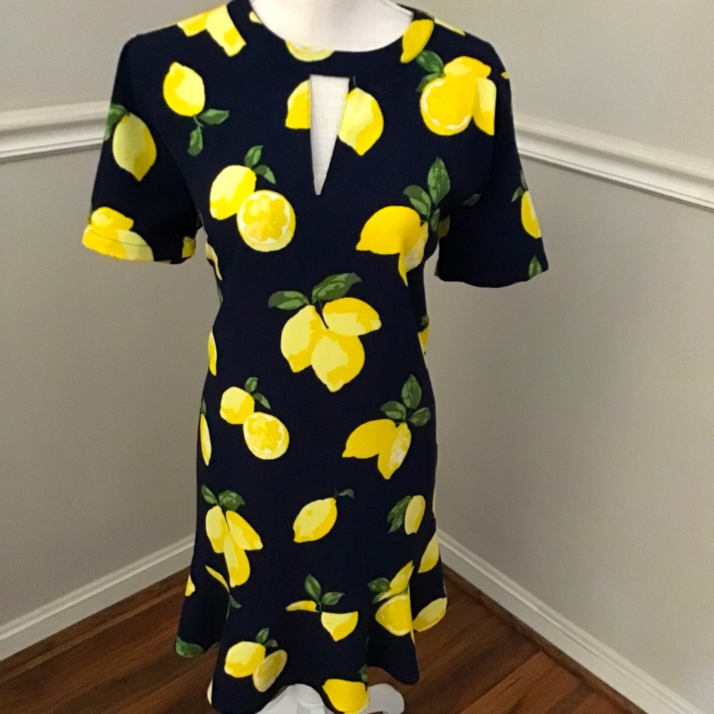 Lemon Mud Pie Dress